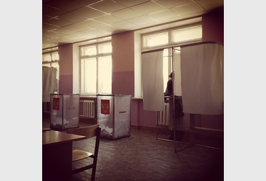 5546-yar