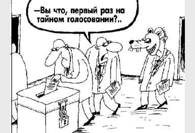 6498-perwyjraz